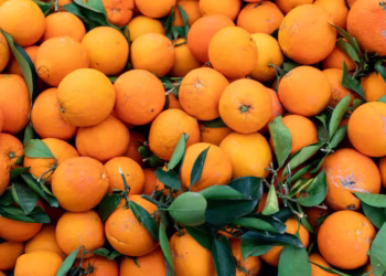 Incluir estes alimentos na rotina vai te afastar dos resfriados