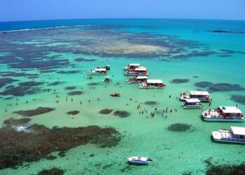 Poucos sabem antes de ir, mas há uma época ideal para conhecer Maragogi