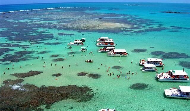 Poucos sabem antes de ir, mas há uma época ideal para conhecer Maragogi