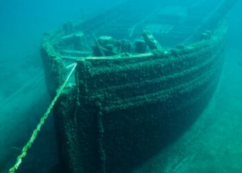 Criança dos Estados Unidos faz pessoas acreditarem que o criador do Titanic renasceu