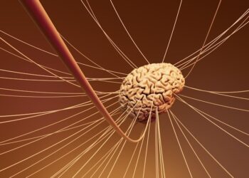 Estudo recente descobre como nosso cérebro avisa o corpo sobre possíveis doenças