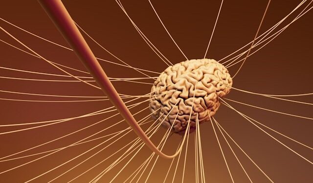 Estudo recente descobre como nosso cérebro avisa o corpo sobre possíveis doenças