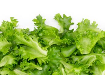 Revelada a técnica de restaurantes para deixar a alface sempre nova