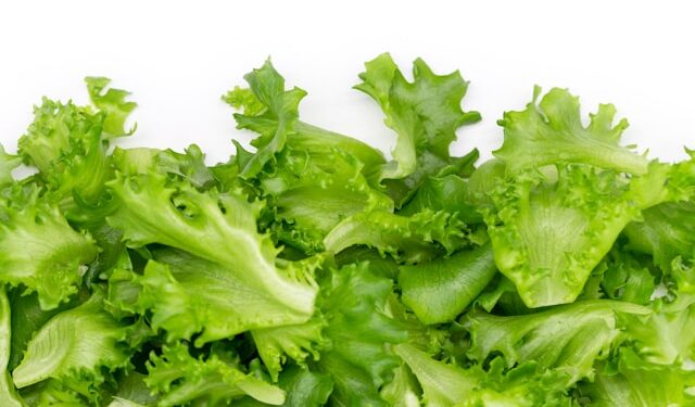 Revelada a técnica de restaurantes para deixar a alface sempre nova