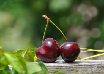 Conheça quais frutas dão um gás para os músculos após cada treino