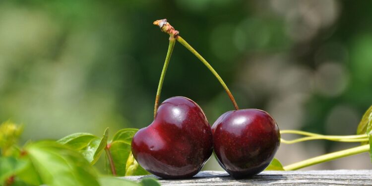 Conheça quais frutas dão um gás para os músculos após cada treino