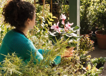 Novo estilo de jardim vira moda e começa a aparecer em cidades do mundo todo