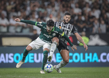 Torcedores do Palmeiras ficam empolgados com declaração ‘sem querer’ de Hulk