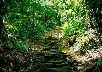 Cidade construída 650 anos antes de Machu Picchu é descoberta na Colômbia