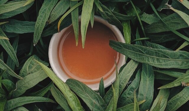 6 melhores chás para manter o bom funcionamento do cérebro