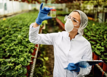 Fruta bonitinha que parece inofensiva supera até o morango em agrotóxicos