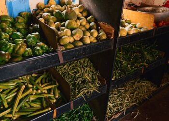 Conheça o vegetal chamado de ‘ouro verde’, mas quase sempre esquecido