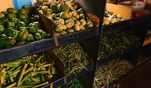 Conheça o vegetal chamado de ‘ouro verde’, mas quase sempre esquecido