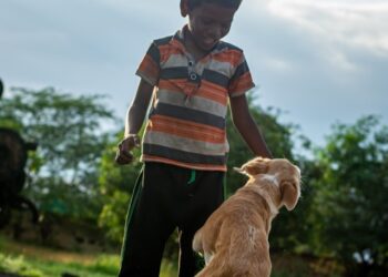 7 melhores raças de cães para conviver com crianças pequenas