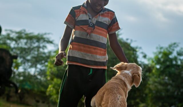 7 melhores raças de cães para conviver com crianças pequenas