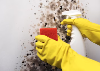 Esse é um verdadeiro remédio caseiro para tirar mofo das paredes