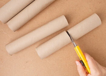 Ter rolo de papel toalha guardado em casa é o mesmo que ter um tesouro