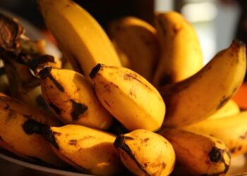 Fruta com 8 vezes mais potássio que a banana é também uma das mais esquecidas