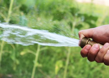 Esse é o motivo pelo qual seu filho não deve beber água na mangueira do jardim
