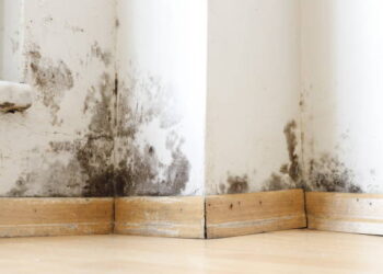 Colocar esse item de cozinha nas janelas vai salvar sua casa do mofo