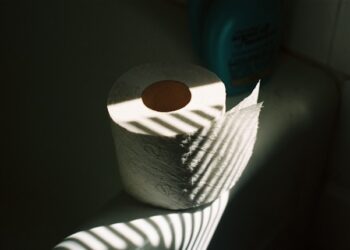 O alerta que especialistas fazem sobre trocar o papel higiênico ao chegar no quarto de hotel