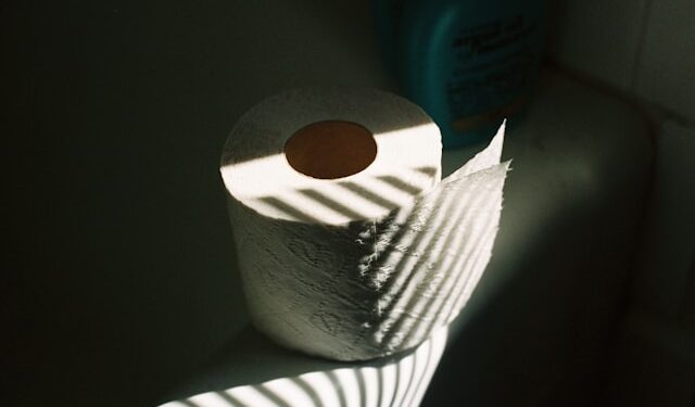 O alerta que especialistas fazem sobre trocar o papel higiênico ao chegar no quarto de hotel