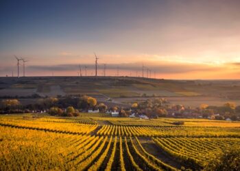 Maior fazenda do Brasil abriga 120 mil cabeças de gado e tem 1.000 quilômetros de estradas