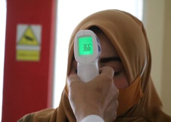 Febre do Nilo é a mais nova preocupação mundial