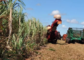 Novo levantamento mostra que o Brasil perdeu área maior que a Bolívia