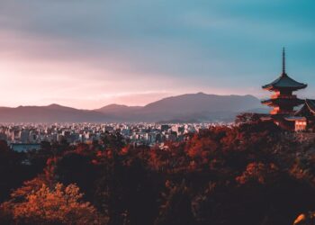 Alimento amado no Japão chegou no Brasil chutando a porta e conquistou o país inteiro