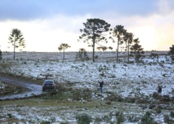 Nova rodovia chega para reduzir 100 km na distância entre Santa Catarina e Rio Grande do Sul