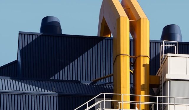 Empresa brasileira recém começou a produzir carros e já quer investir em nova fábrica