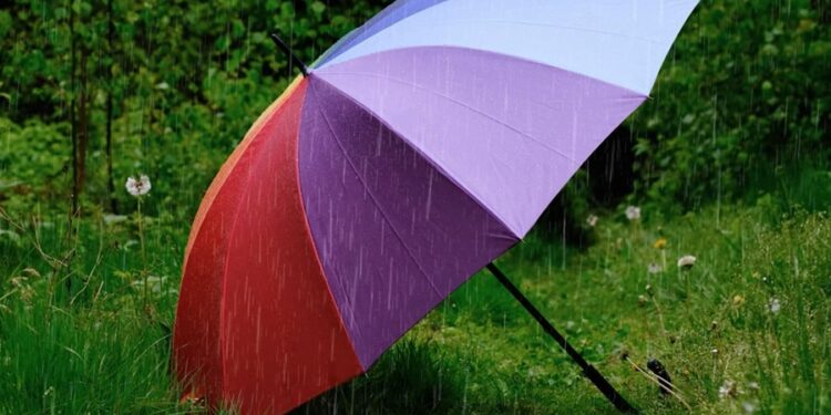 Nova tendência chega com tudo e promete substituir os guarda-chuvas tradicionais