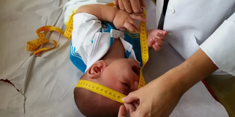 Vítimas do Zika vírus começam a ser indenizadas pelo Governo Federal nesta segunda-feira (29)