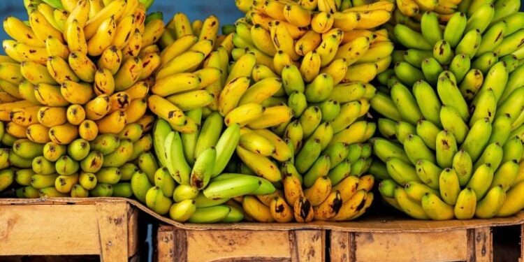 Como impedir bananas de estragar rapidamente?