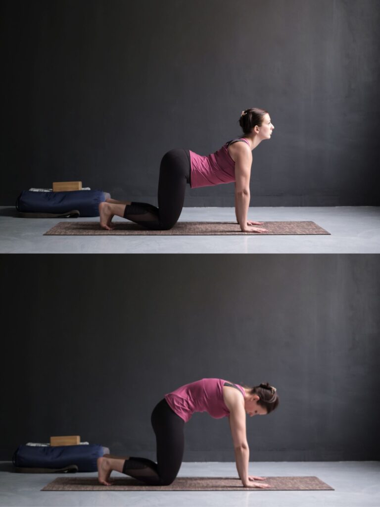 Movimento gato vaca ajuda com dores na lombar