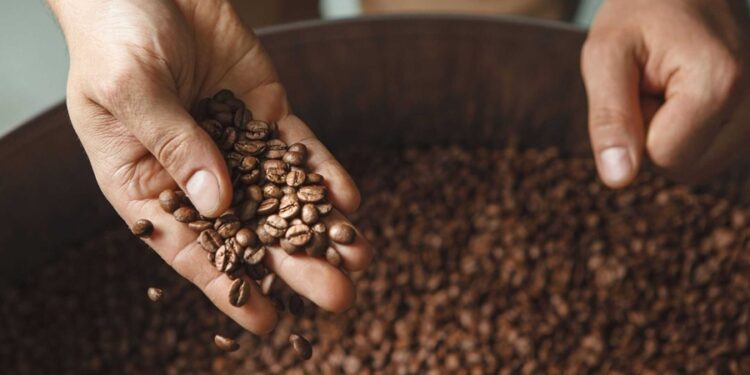 Anvisa encontra fragmentos de vidro e proíbe a comercialização de café tradicional em todo o Brasil