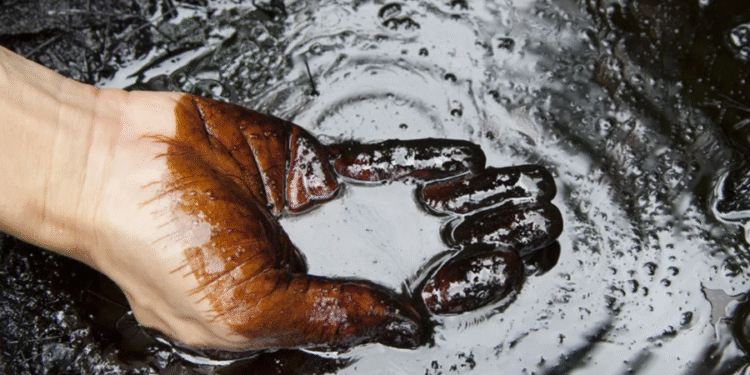É isso que acontece quando alguém acha petróleo em seu terreno no Brasil