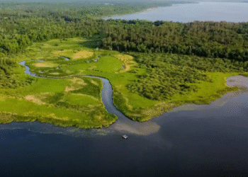 Maior reservatório de água doce do planeta foi encontrado no Brasil vencendo o Aquífero Guarani