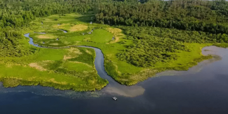 Maior reservatório de água doce do planeta foi encontrado no Brasil vencendo o Aquífero Guarani