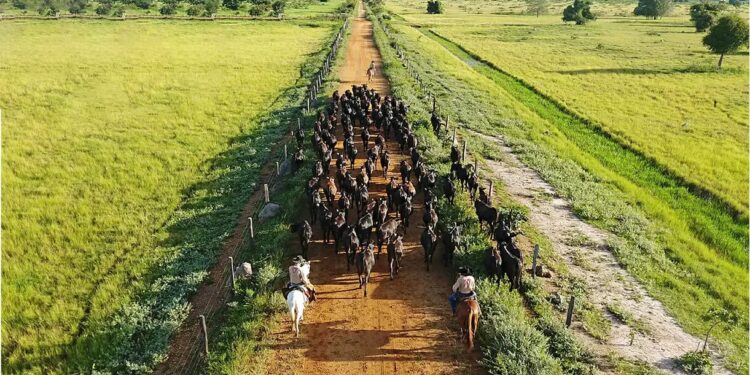 Quem são os 5 fazendeiros mais ricos do Brasil?