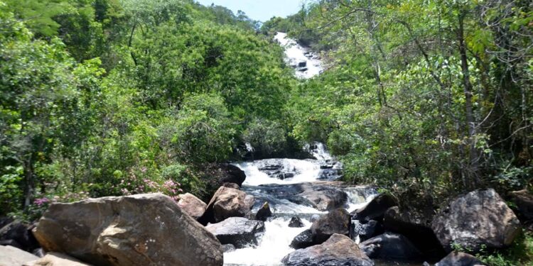 Segunda maior cachoeira de São Paulo fica a apenas 2 horas da capital
