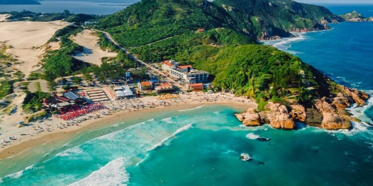 Animal extinto há 260 anos ressurge em Florianópolis de maneira surpreendente