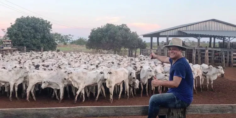 Fazenda do cantor Leonardo é moradia de 5 mil bovinos e vale R$ 60 milhões