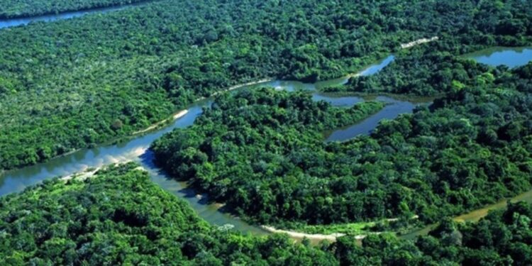 Segunda maior ilha do Brasil abriga praias desérticas