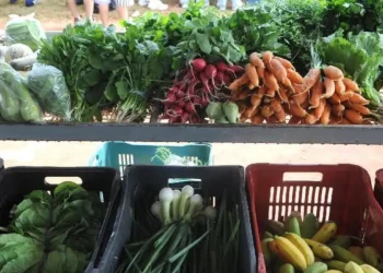 Alimento amado na África chegou chegando no Brasil e conquistou o país inteiro