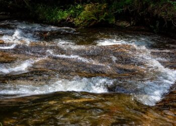 NASA fez atualização sobre a quantidade de água doce no Brasil