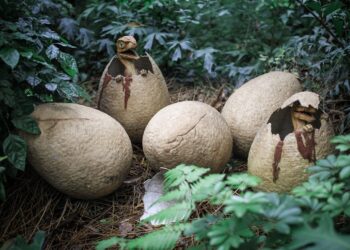 Pesquisadores acabam de encontrar 28 ovos de dinossauro em reserva