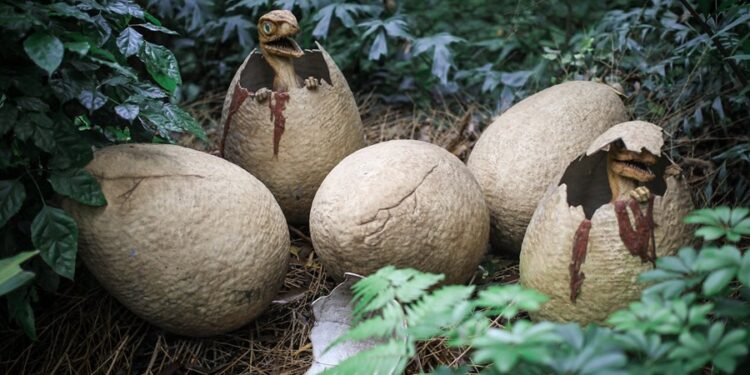 Pesquisadores acabam de encontrar 28 ovos de dinossauro em reserva