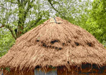 Homem vive isolado após morrer 6 vezes por conta de suposta maldição